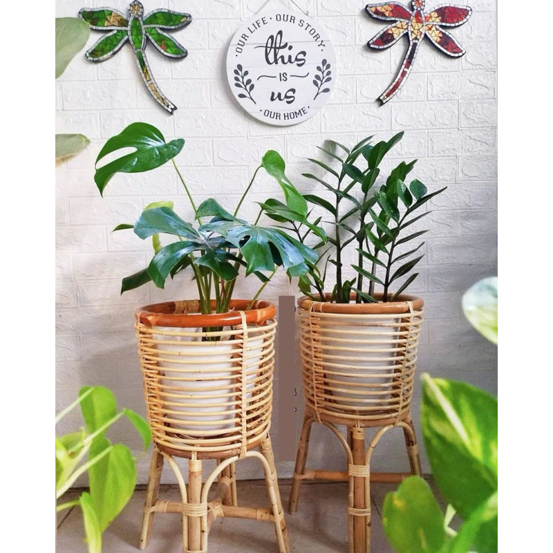 Handcrafted Woven Rattan Plant Stand with Caladium Plant