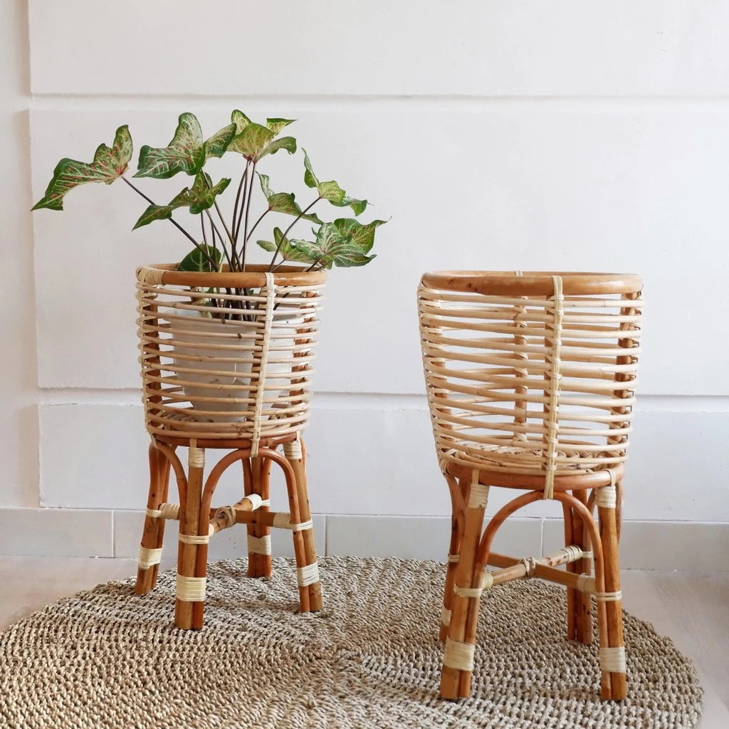 Handcrafted Woven Rattan Plant Stand with Caladium Plant
