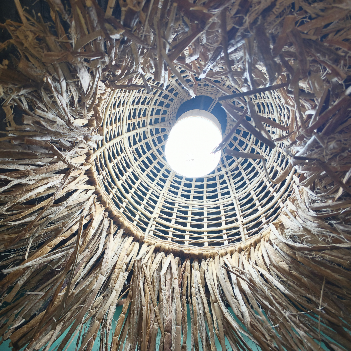 Boho Rattan Pendant Light Shade with Water Hyacinth Fringe / Handwoven Straw Tassel Hanging Lampshade