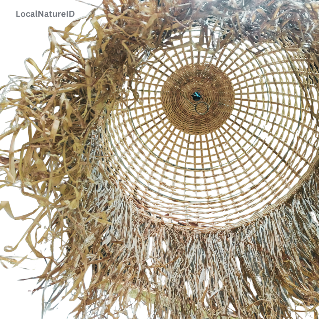 Handcrafted Woven Rattan Pendant Light Shade / Luxury Boho Dome Lampshade with Natural Agel Palm Fiber Fringe and Coastal Grass Chandelier Accent