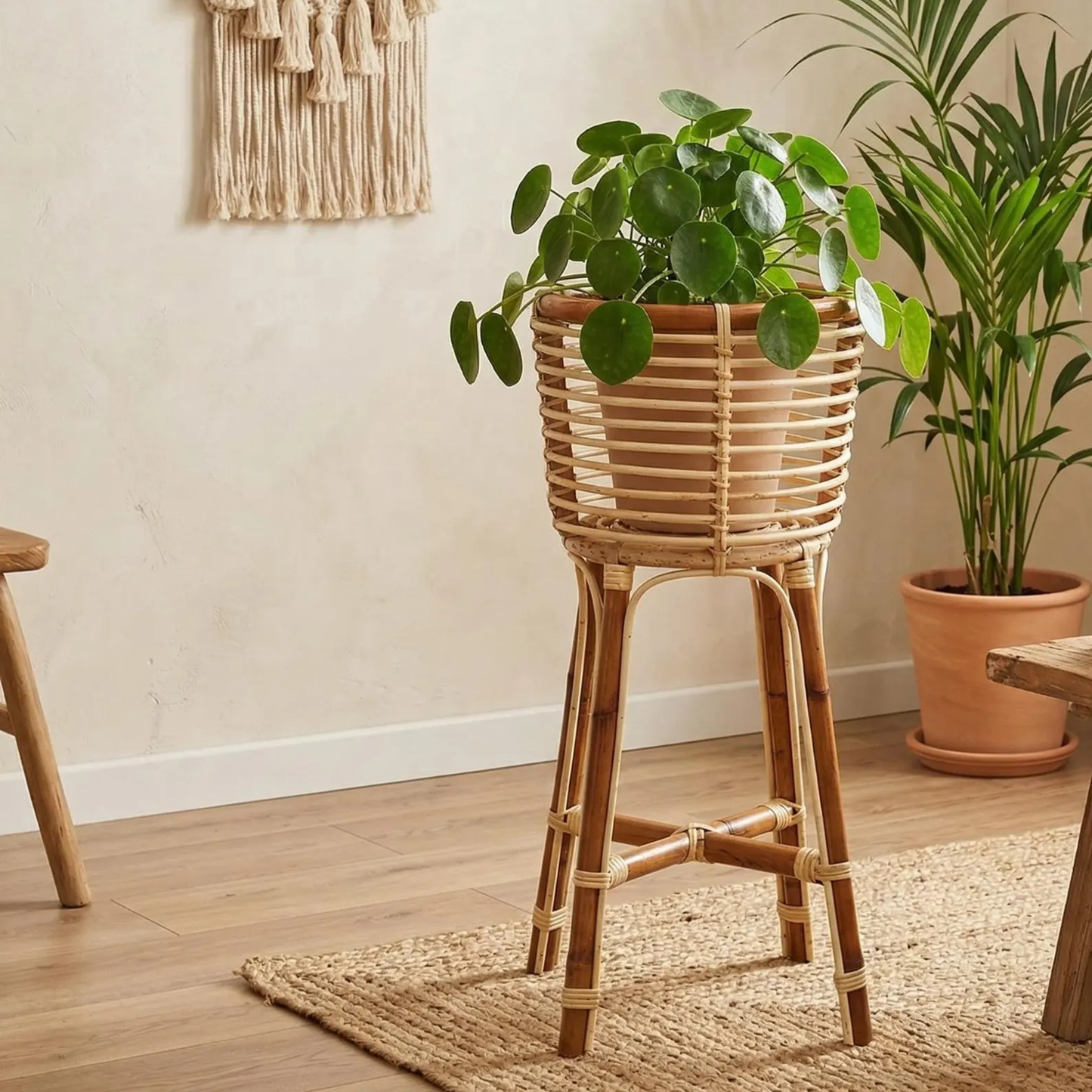 Natural Rattan Indoor Plant Stand and Potted Caladium