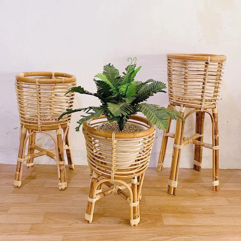 Handcrafted Woven Rattan Plant Stand with Caladium Plant