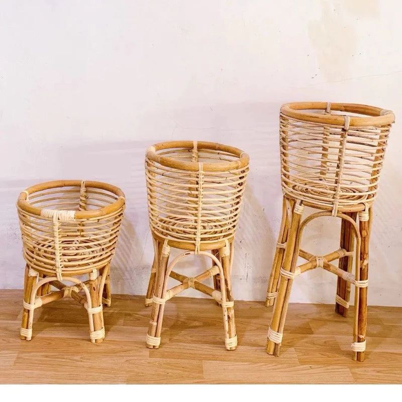 Handcrafted Woven Rattan Plant Stand with Caladium Plant