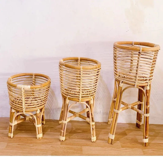 Handcrafted Woven Rattan Plant Stand with Caladium Plant
