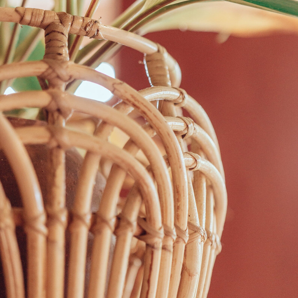 Handcrafted Woven Cane Planter Basket