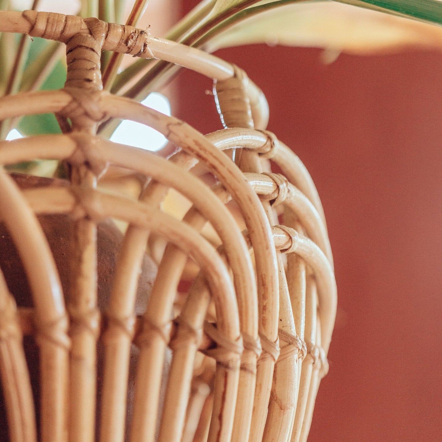 Handcrafted Woven Cane Planter Basket